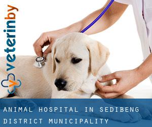 Animal Hospital in Sedibeng District Municipality