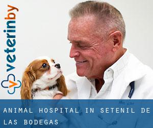 Animal Hospital in Setenil de las Bodegas