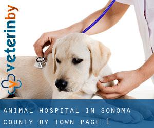 Animal Hospital in Sonoma County by town - page 1
