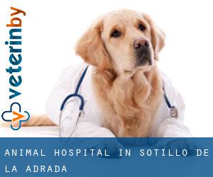Animal Hospital in Sotillo de la Adrada