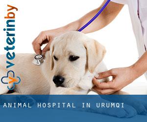 Animal Hospital in Ürümqi Animal Hospital in Ürümqi