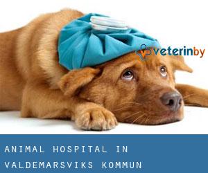 Animal Hospital in Valdemarsviks Kommun