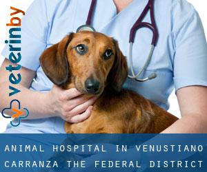 Animal Hospital in Venustiano Carranza (The Federal District)
