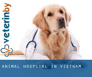 Animal Hospital in Vietnam