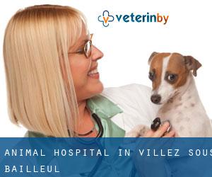 Animal Hospital in Villez-sous-Bailleul