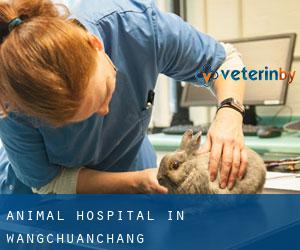 Animal Hospital in Wangchuanchang