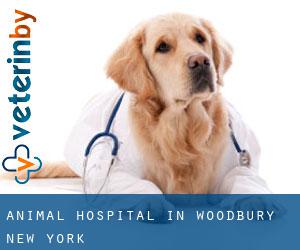 Animal Hospital in Woodbury (New York)