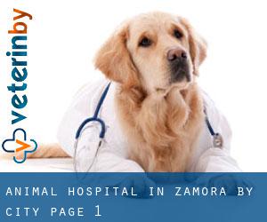 Animal Hospital in Zamora by city - page 1