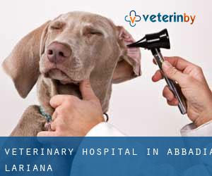Veterinary Hospital in Abbadia Lariana