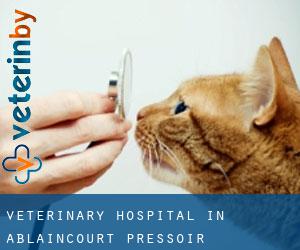 Veterinary Hospital in Ablaincourt-Pressoir