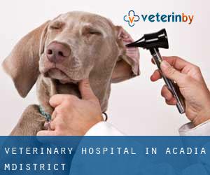 Veterinary Hospital in Acadia M.District