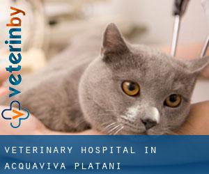 Veterinary Hospital in Acquaviva Platani