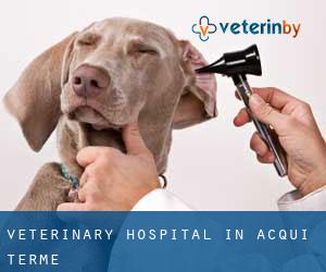 Veterinary Hospital in Acqui Terme