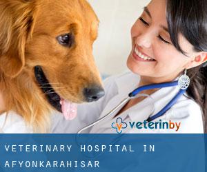 Veterinary Hospital in Afyonkarahisar