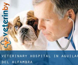 Veterinary Hospital in Aguilar del Alfambra