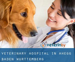 Veterinary Hospital in Ahegg (Baden-Württemberg)