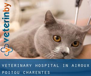 Veterinary Hospital in Airoux (Poitou-Charentes)