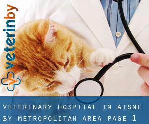 Veterinary Hospital in Aisne by metropolitan area - page 1