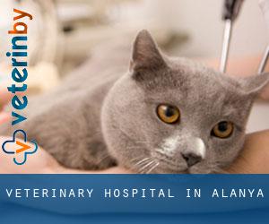 Veterinary Hospital in Alanya