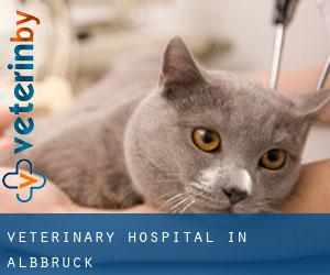Veterinary Hospital in Albbruck