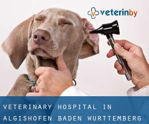 Veterinary Hospital in Algishofen (Baden-Württemberg)