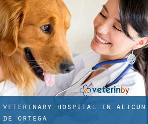 Veterinary Hospital in Alicún de Ortega Veterinary Hospital in Alicún de Ortega