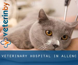 Veterinary Hospital in Allenc