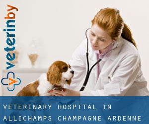 Veterinary Hospital in Allichamps (Champagne-Ardenne)