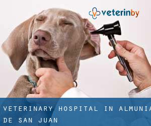 Veterinary Hospital in Almunia de San Juan