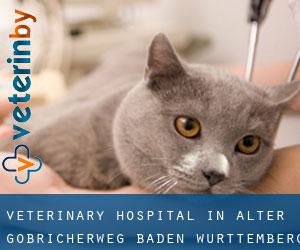 Veterinary Hospital in Alter Göbricherweg (Baden-Württemberg)