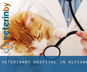 Veterinary Hospital in Alviano