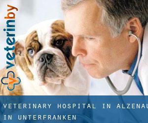 Veterinary Hospital in Alzenau in Unterfranken