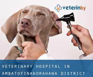 Veterinary Hospital in Ambatofinandrahana District