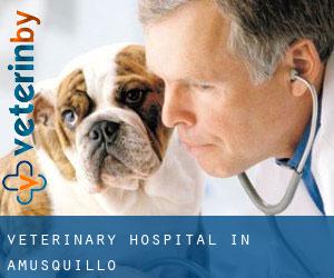 Veterinary Hospital in Amusquillo