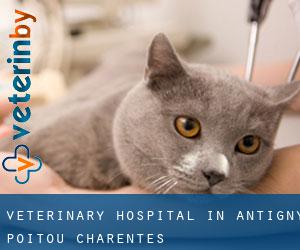 Veterinary Hospital in Antigny (Poitou-Charentes)