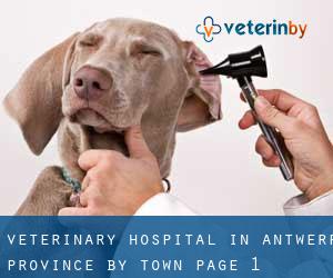 Veterinary Hospital in Antwerp Province by town - page 1