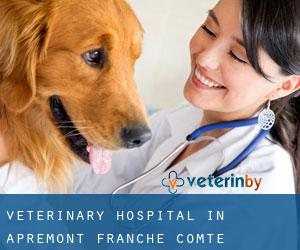 Veterinary Hospital in Apremont (Franche-Comté)