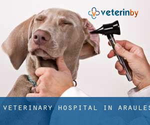 Veterinary Hospital in Araules