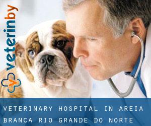 Veterinary Hospital in Areia Branca (Rio Grande do Norte)