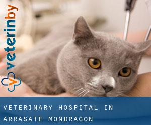 Veterinary Hospital in Arrasate / Mondragón