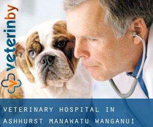 Veterinary Hospital in Ashhurst (Manawatu-Wanganui)