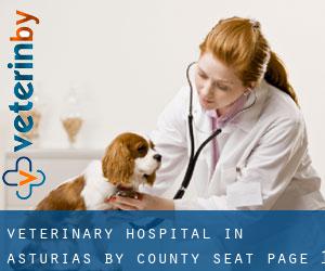Veterinary Hospital in Asturias by county seat - page 1 (Province)