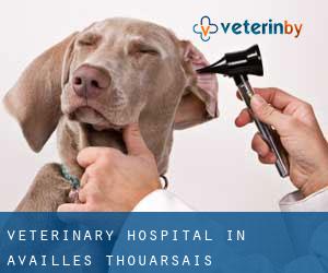Veterinary Hospital in Availles-Thouarsais