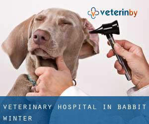 Veterinary Hospital in Babbit Winter