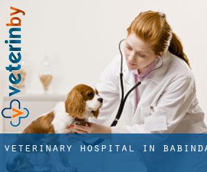Veterinary Hospital in Babinda