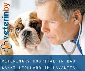 Veterinary Hospital in Bad Sankt Leonhard im Lavanttal