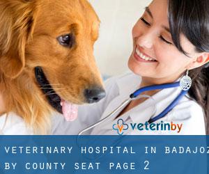 Veterinary Hospital in Badajoz by county seat - page 2