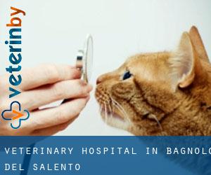 Veterinary Hospital in Bagnolo del Salento