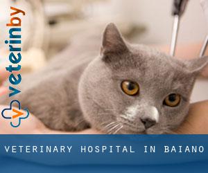 Veterinary Hospital in Baiano