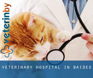 Veterinary Hospital in Baides